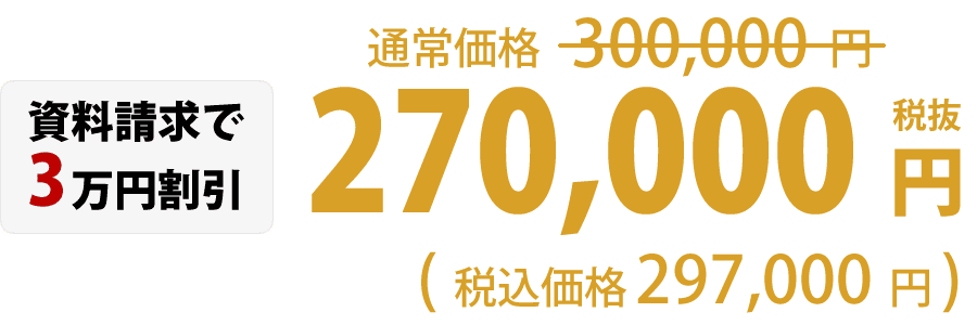 270,000円税込(税込価格 297,000円)